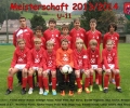 ASVG - Sponsorbild Jugendmannschaft U-11-Jugend - Saison 2013-2014-r