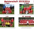 ASVG - Sponsorbild E+F-Jugend - U-10 - III. Amateurliga - Saison 2015-2016_r